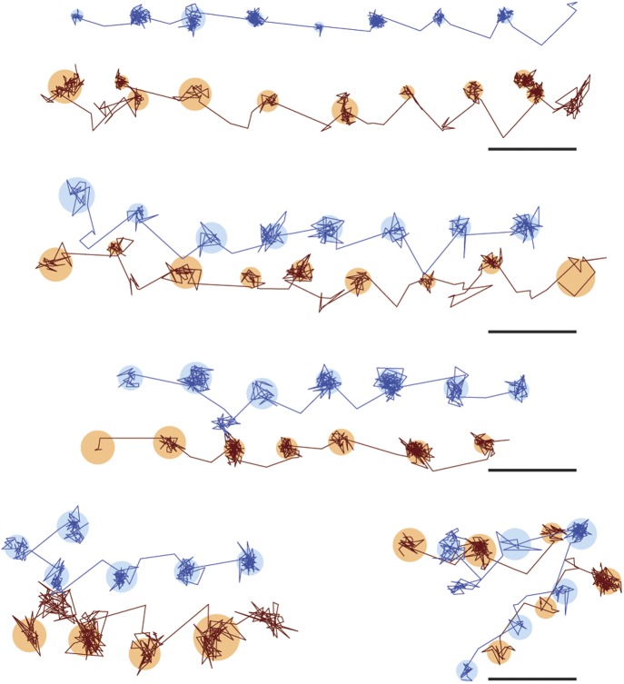 Figure 3—figure supplement 1.