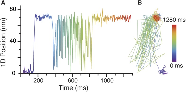 Figure 1—figure supplement 3.