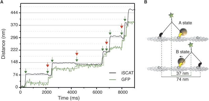 Figure 5.