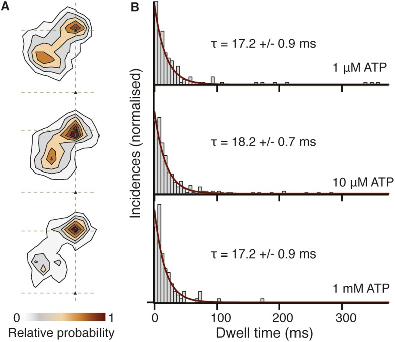 Figure 8—figure supplement 1.