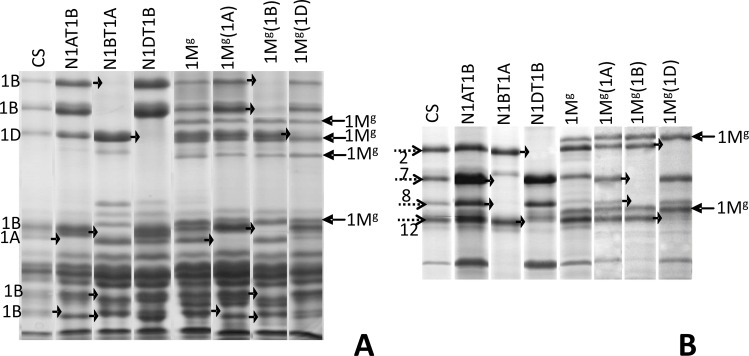 Fig 6