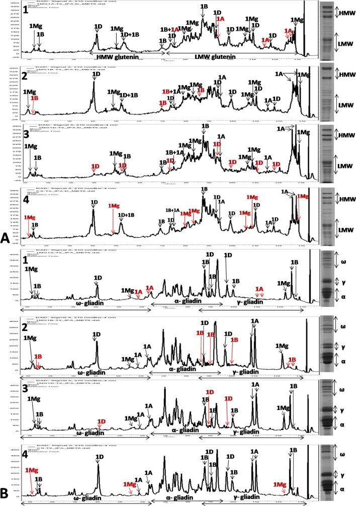 Fig 8