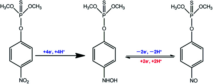 Scheme 2