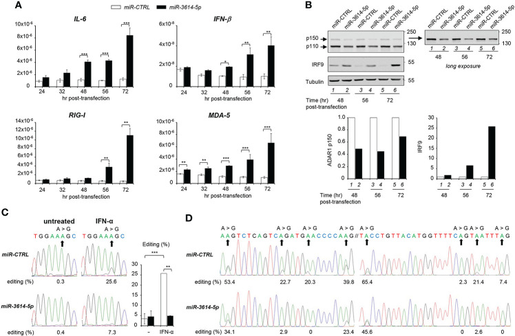 Figure 4