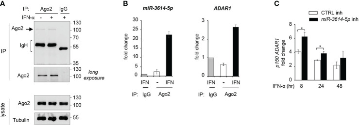 Figure 6