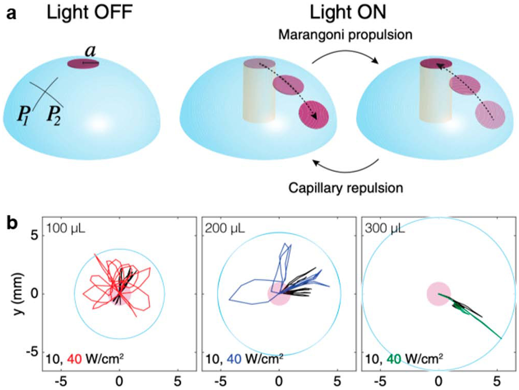 Figure 27.