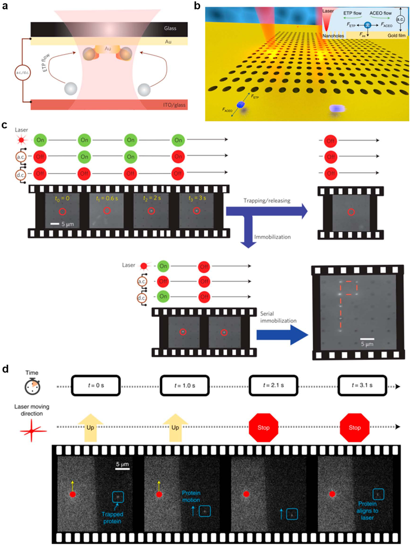 Figure 29.