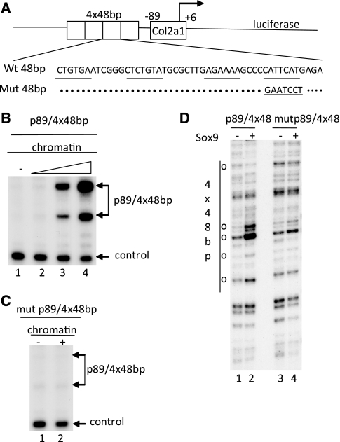 Figure 6.