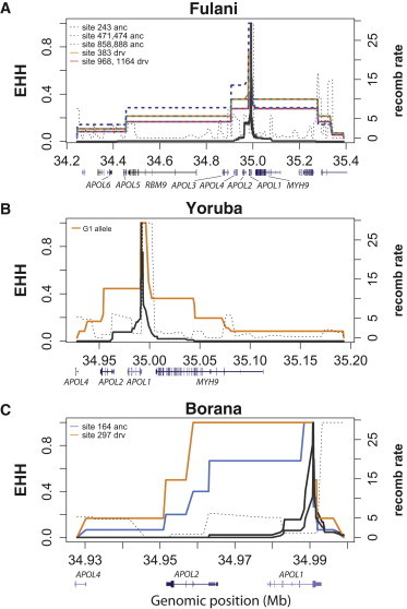 Figure 5