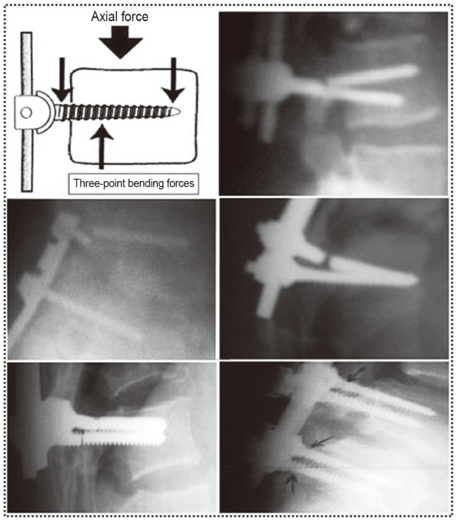 Fig. 9