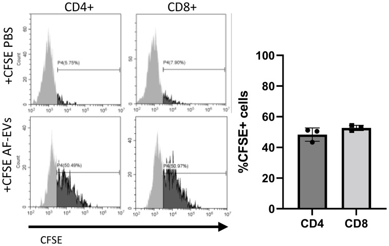 Figure 7