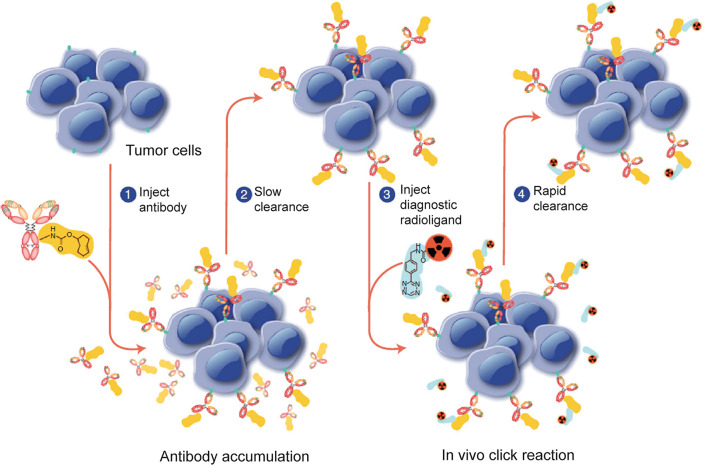 Figure 20