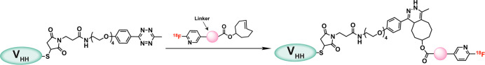 Figure 19