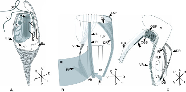 Figure 9