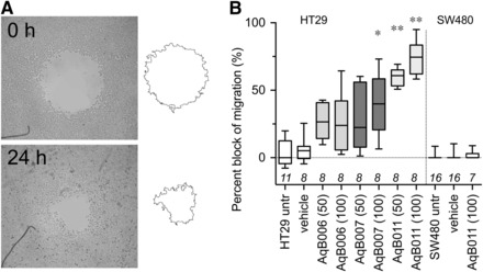 Fig. 6.