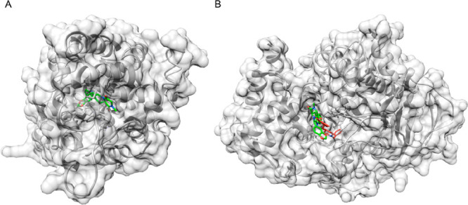 Figure 4