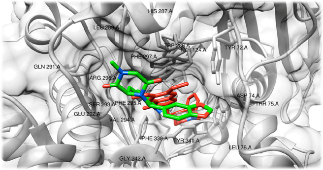 Figure 5