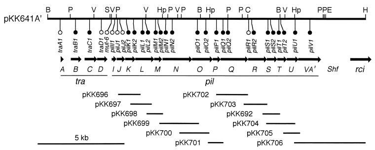 FIG. 1