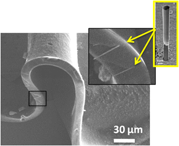 Fig. 2