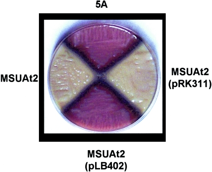 FIG. 4.