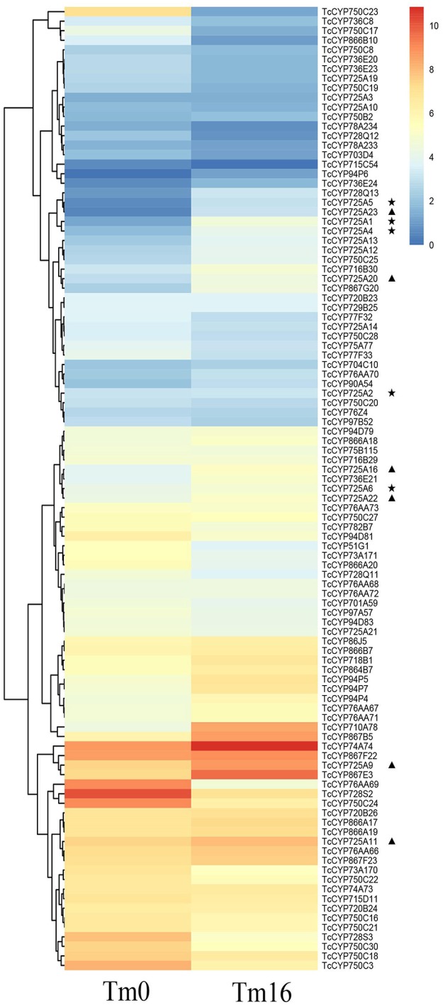 Figure 5