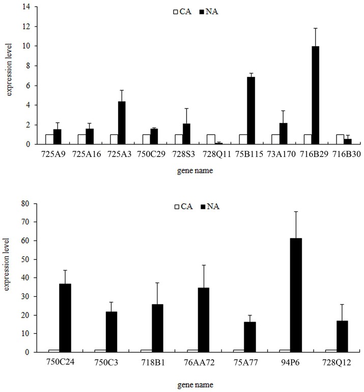 Figure 6