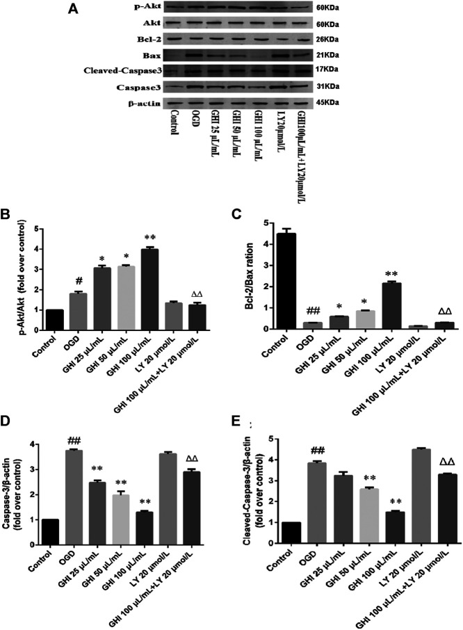 FIGURE 15