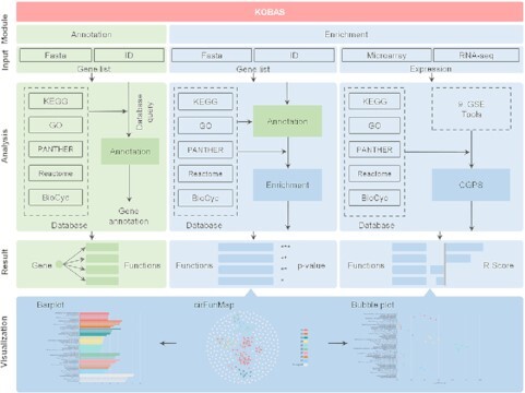 Graphical Abstract