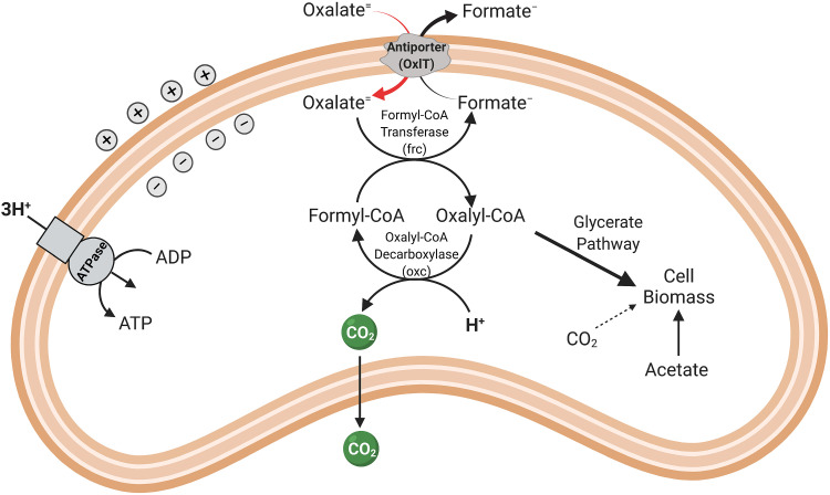 FIG 5