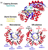 Figure 21.