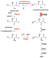 Figure 27.