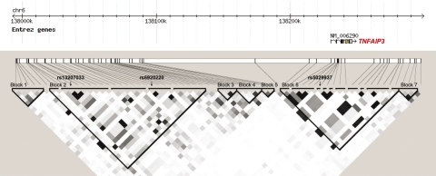 Figure 2.