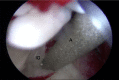 Fig 7