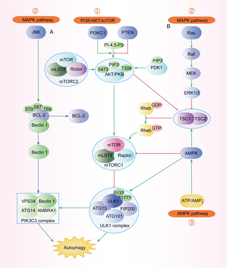 FIGURE 3