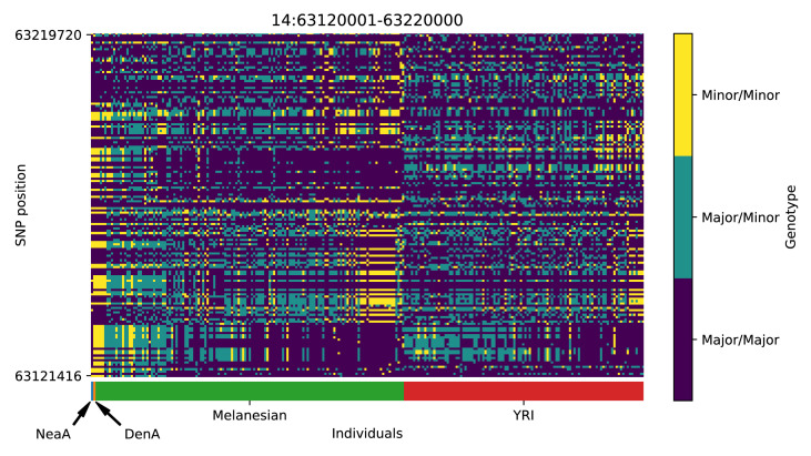 Appendix 5—figure 16.