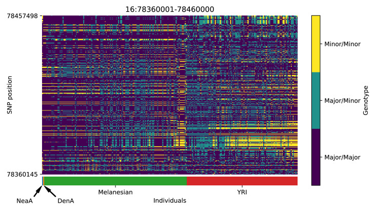 Appendix 5—figure 20.