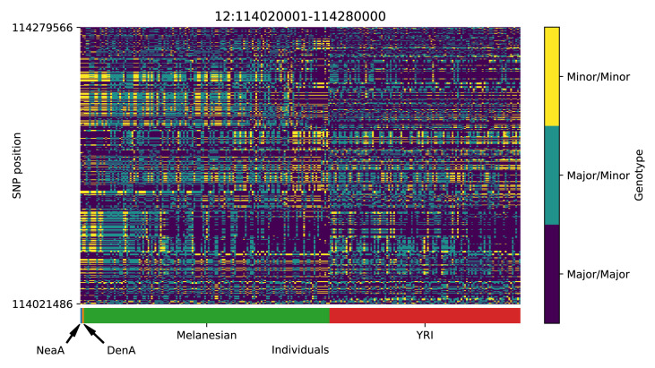 Appendix 5—figure 14.