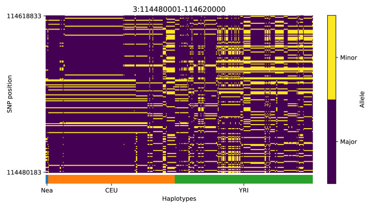 Appendix 4—figure 4.