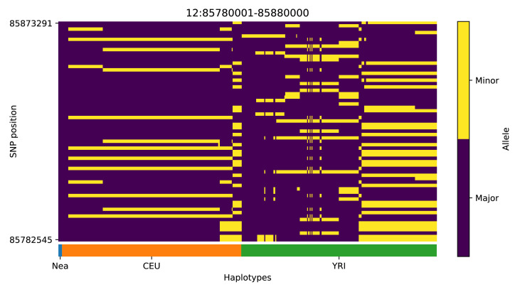 Appendix 4—figure 10.