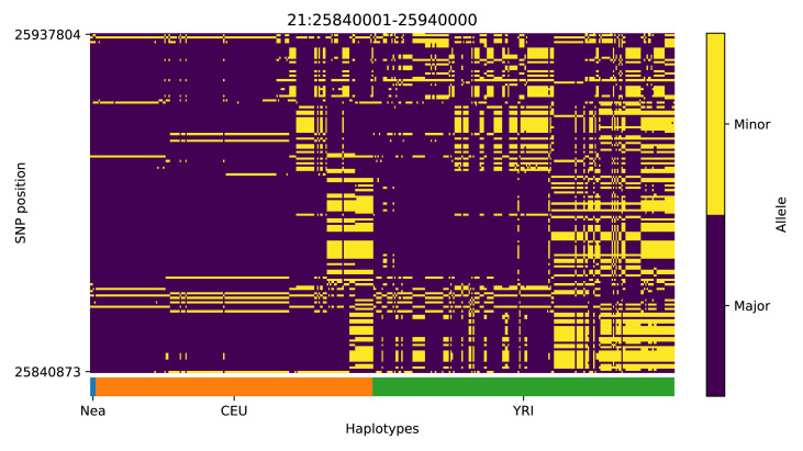 Appendix 4—figure 14.