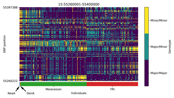 Appendix 5—figure 18.