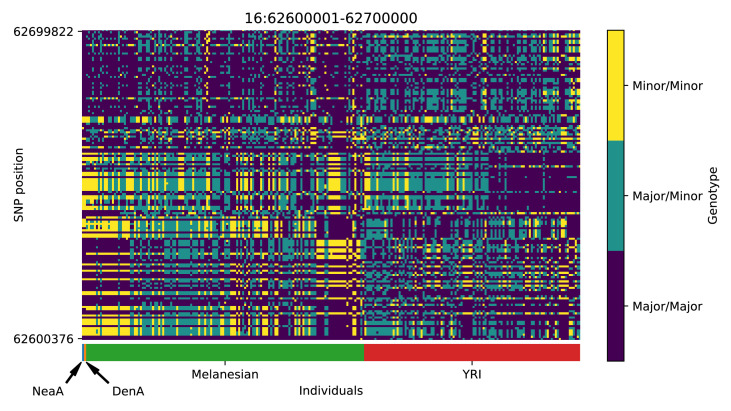 Appendix 5—figure 19.