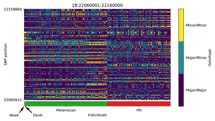 Appendix 5—figure 21.