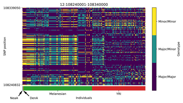 Appendix 5—figure 13.