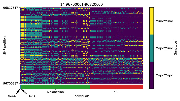 Appendix 5—figure 17.