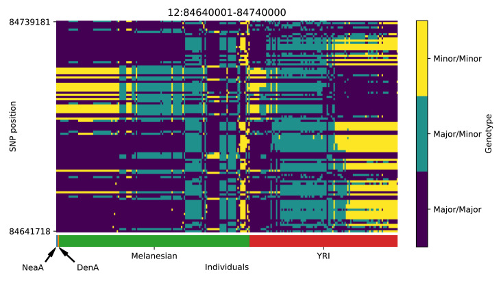 Appendix 5—figure 12.