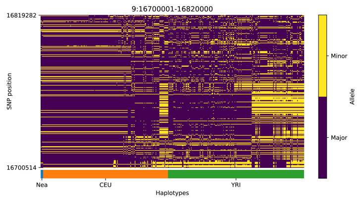 Appendix 4—figure 9.