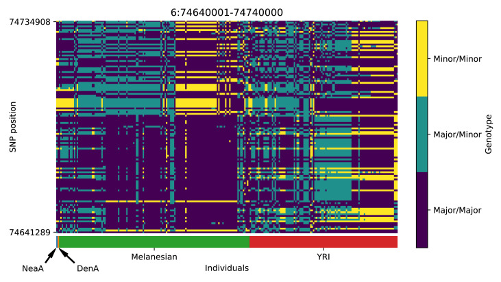 Appendix 5—figure 5.