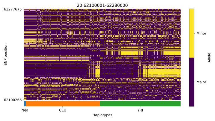 Appendix 4—figure 13.