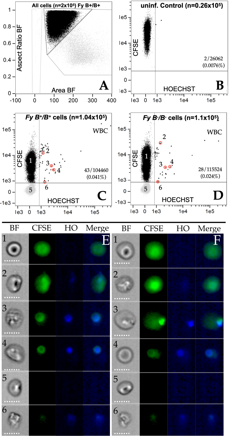 Figure 6.